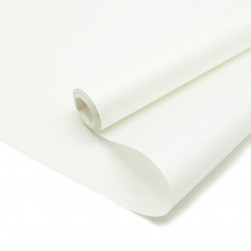 Упаковочная бумага, Крафт (0,5*8,23 м) Белый, 2 ст, 1 шт.