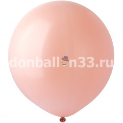 И 18"/100 Пастель Shell, 25шт