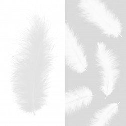 Перья, Премиум, Белый, 12-15 см, 30 шт.