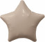 Логотип «Шар (19''/48 см) Звезда, Мистик, Кофе Латте, Сатин, 1 шт.»