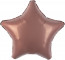 Логотип «Шар (19''/48 см) Звезда, Мокко, 1 шт.»