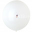 Логотип «И 18"/001 Пастель White, 25шт»
