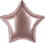 Логотип «Шар (18''/46 см) Звезда, Грибной, Сатин, 1 шт.»