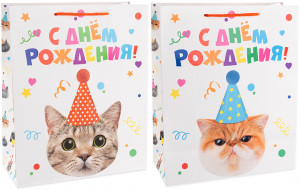 Логотип «Пакет подарочный, 210гр, Котик в колпачке, Лаковый, 32*26*12 см, 1 шт.»