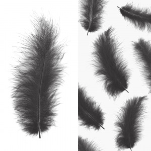 Логотип «Перья, Премиум, Графит, 12-15 см, 30 шт.»