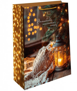 Логотип «Пакет подарочный, Волшебство начинается сейчас, 32*26*12 см, 1 шт.»