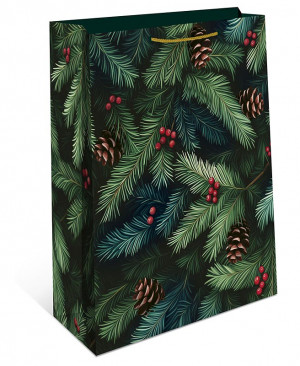 Логотип «Пакет подарочный, Еловые веточки, 22,3*18*10 см, 1 шт.»