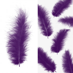 Логотип «Перья, Премиум, Фиолетовый, 12-15 см, 30 шт.»