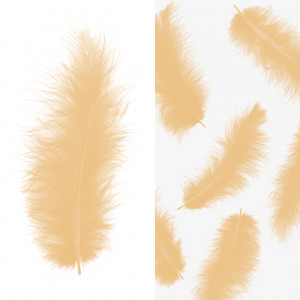 Логотип «Перья, Премиум, Персиковый, 12-15 см, 30 шт.»