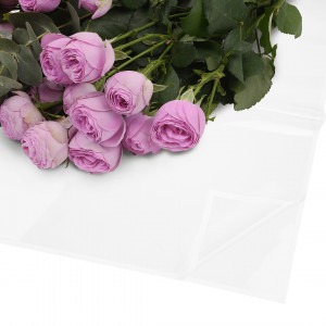 Логотип «Упаковочная пленка 47мкр (0,57*0,57 м) Узкая кайма, Прозрачный/Белый, Глянец, 20 шт.»