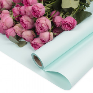 Логотип «Упаковочная пленка 65мкр (0,57*10 м) Однотонная, Голубой, Матовый, 1 шт.»