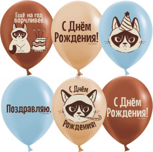 Логотип «Шар (12''/30 см) С Днем Рождения! (сердитая кошка), Ассорти, пастель, 2 ст, 25 шт.»