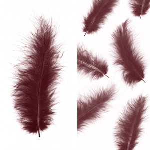 Логотип «Перья, Премиум, Бургундия, 12-15 см, 30 шт.»