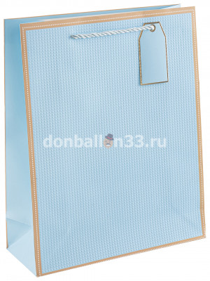 Логотип «Пакет подарочный, 210гр, Золотой кант, Дизайн №1, Голубой, 23*18*10 см, 1 шт.»