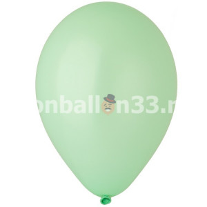 Логотип «И 12"/077 Пастель Mint Green, 100шт»