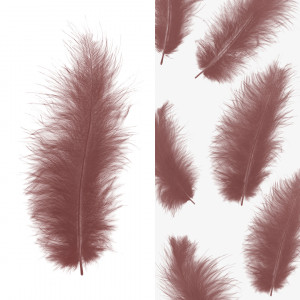 Логотип «Перья, Премиум, Ретро Какао, 12-15 см, 30 шт.»