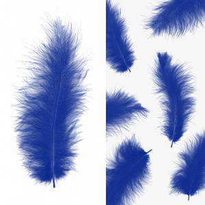 Логотип «Перья, Премиум, Синий, 12-15 см, 30 шт.»