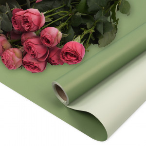 Логотип «Упаковочная пленка 65мкр (0,57*10 м) Двухцветная, Светло-зеленый/Зеленый, Матовый, 1 шт.»